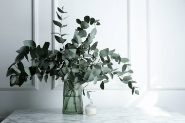 Beyaz duvarın yanındaki mermer masada vazoda yeşil okaliptüs dalları var.