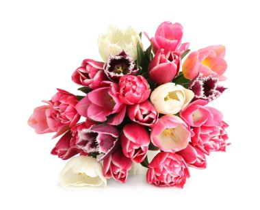 Beyaz izole güzel Lale buketi