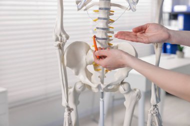 Doktor klinikteki insan iskeleti parçalarına işaret ediyor.