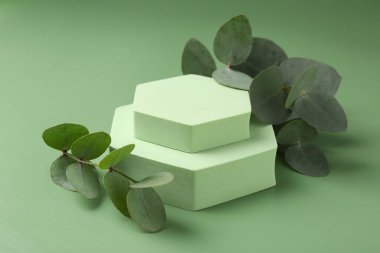 Yeşil zemine karşı podyumda güzel okaliptüs dalları