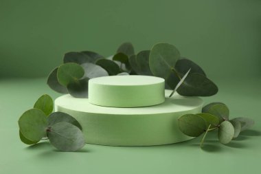 Yeşil zemine karşı podyumda güzel okaliptüs dalları