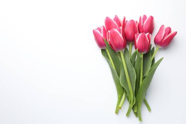 Beyaz arka planda güzel laleler, düz bir zemin. Metin için boşluk