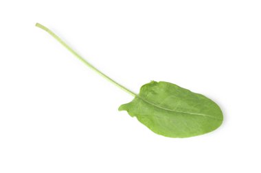 Bir taze yeşil kuş yaprağı beyaza izole edilmiş, üst manzara
