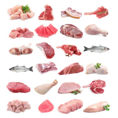 Balık ve et. Beyaz arka planda farklı ham ürünler, kolaj