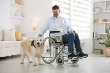 Tekerlekli sandalyedeki adam ve hizmetli köpeği evde