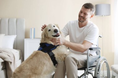 Tekerlekli sandalyedeki adam ve hizmetli köpeği evde