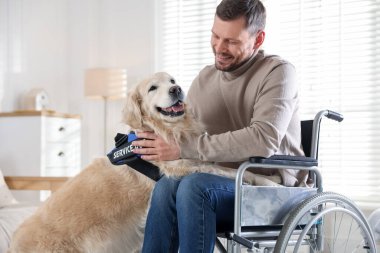 Tekerlekli sandalyedeki adam evde hizmet köpeğine sarılıyor.
