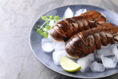 Çiğ ıstakoz kuyruğu, mikro yeşillikler, yeşil masada limon ve buz, yakın plan. Metin için boşluk