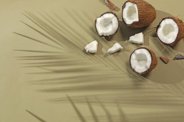 Taze hindistan cevizleri ve açık yeşil arka planda tropikal palmiyelerin oluşturduğu gölgeler düzleşir. Metin için boşluk