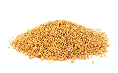 Beyaz üzerine izole edilmiş aromatik hardal tohumları.