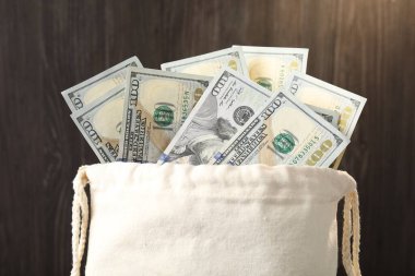 Bulanık arka planda dolar banknotları olan para çantası, yakın plan