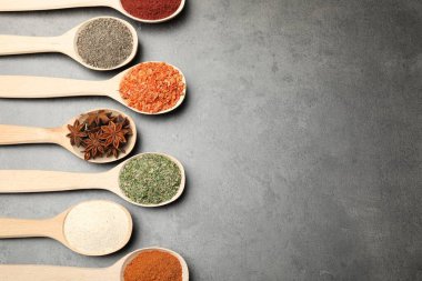 Gri masadaki kaşıklarda bir sürü farklı baharat var. Metin için boşluk