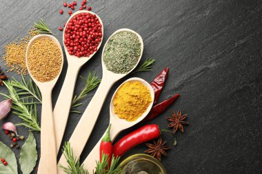 Siyah masadaki kaşıklardaki farklı aromatik baharatlar. Metin için boşluk