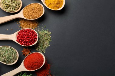 Siyah masadaki kaşıklardaki farklı aromatik baharatlar. Metin için boşluk