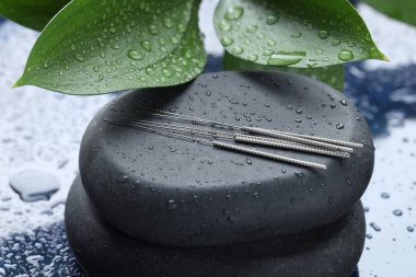 Akupunktur iğneleri, ıslak spa taşları ve mavi tepside yapraklar, yakın çekim.