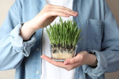 Arka planda şeffaf tencerede buğday çimeni olan kadın, yakın plan.