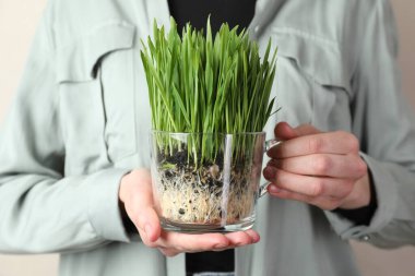 Arka planda şeffaf tencerede buğday çimeni olan kadın, yakın plan.