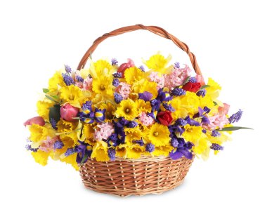 Beyaz sepetteki güzel renkli çiçekler.