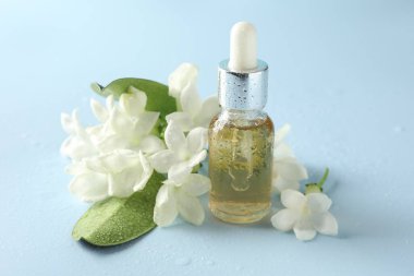 Bir şişe gerekli yağ, yasemin çiçekleri ve açık mavi arka planda yeşil yapraklar, yakın plan.