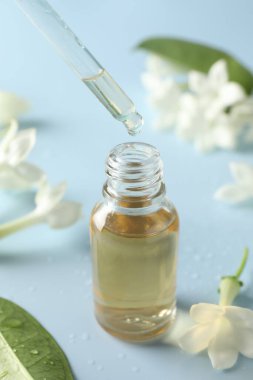 Gerekli yağı pipetten şişeye damlatıyor ve açık mavi arka planda yasemin çiçekleri, yakın plan