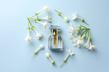 Parfüm ve yasemin çiçekleri açık mavi arka planda, düz yerde