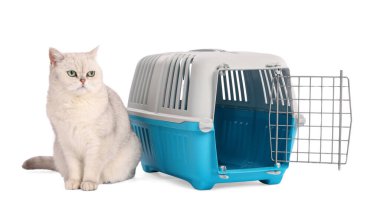 Sevimli kedi ve evcil hayvan taşıyıcısı beyaz üzerinde izole edilmiş.