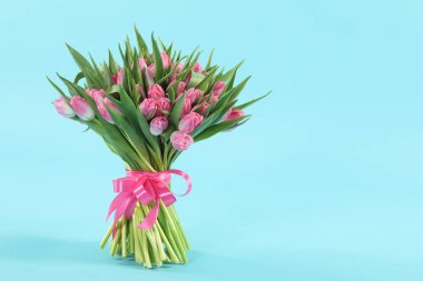 Açık mavi zemin üzerinde güzel laleler buketi, metin için boşluk