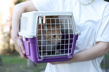 Sahibi, sevimli kedisi olan bir hayvan taşıyıcısı, yakın plan.