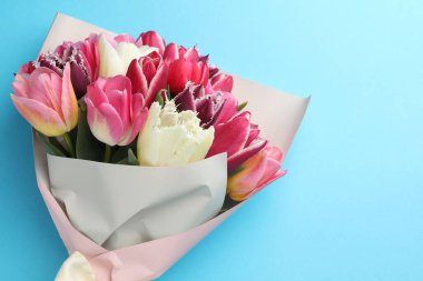 Açık mavi arka planda güzel laleler, üst manzara. Metin için boşluk