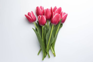 Beyaz arka planda güzel laleler, düz uzanmış