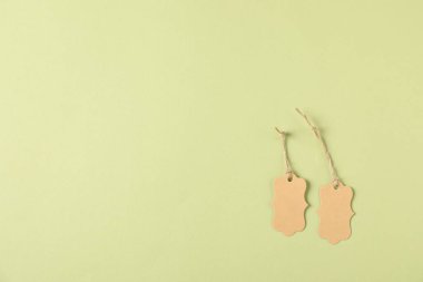 Soluk yeşil arka planda dizeleri olan boş etiketler, düz yatış. Metin için boşluk