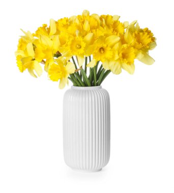 Beyaz vazodaki sarı nergisler