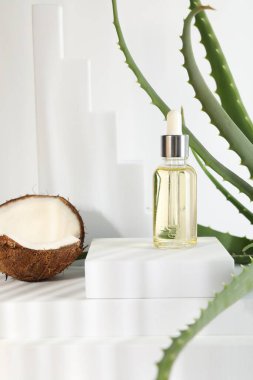 Saç tedavisi. Kozmetik ürün, hindistan cevizi ve aloe yaprakları beyaz arkaplanda