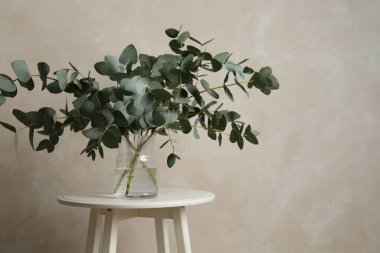 Güzel okaliptüs dalları vazoda, açık gri duvarın yanındaki masada, metin için yer var.