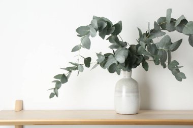 Güzel okaliptüs dalları vazoda, beyaz duvarın yanındaki ahşap masada, metin için yer var.