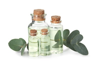 Beyaz üzerine izole edilmiş yağ ve okaliptüs yaprakları şişeleri.