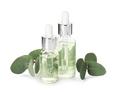 Beyaz üzerine izole edilmiş yağ ve okaliptüs yaprakları şişeleri.