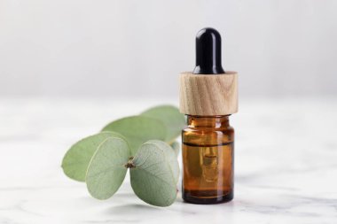 Gerekli yağ ve okaliptüs yaprakları beyaz mermer masanın üzerinde, yakın plan.