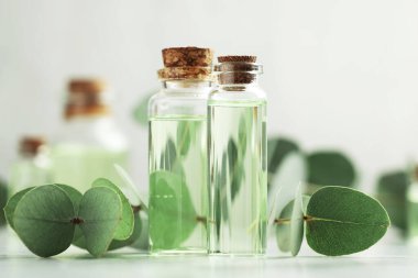 Gerekli yağ ve okaliptüs yaprakları beyaz masada, yakın plan.