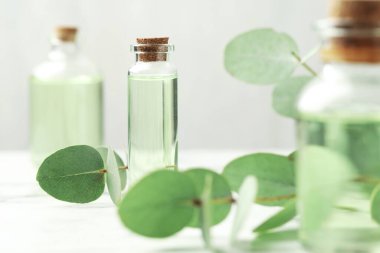 Gerekli yağ ve okaliptüs yaprakları beyaz masada, yakın plan.