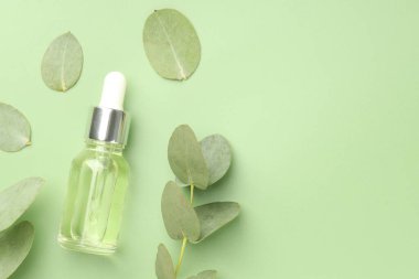 Yeşil arka planda bir şişe esaslı yağ ve okaliptüs yaprağı. Metin için boşluk