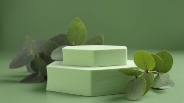 Yeşil zemine karşı podyumda güzel okaliptüs dalları