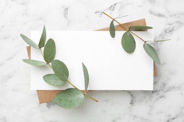 Beyaz mermer zemin üzerinde boş kart ve okaliptüs dalları, düz yatıyordu