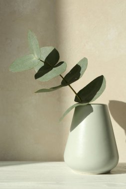 Işık duvarının yanındaki masada vazoda güzel bir okaliptüs dalı.