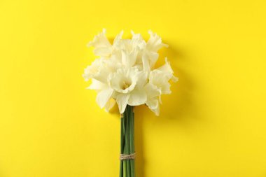 Sarı arka planda bir sürü güzel nergis.