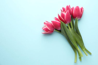 Işıklı arka planda güzel lale çiçekleri, üst manzara. Metin için boşluk