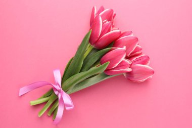 Pembe arka planda güzel laleler, üst manzara.