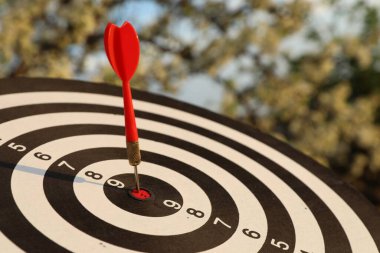 Hedef alınıyor. Dart tahtası ve açık havada ok, yakın plan.