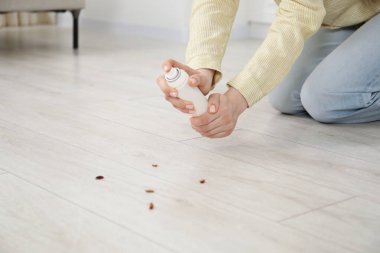 Evdeki hamamböceklerine böcek ilacı sıkan genç bir kadın. Haşere sorunu