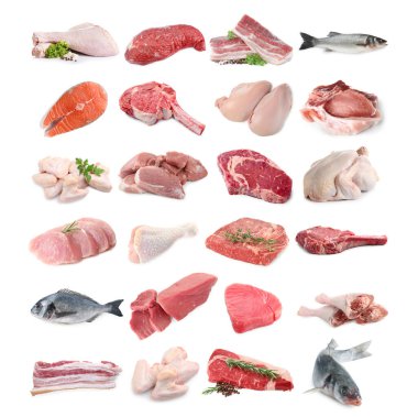 Balık ve et. Beyaz arka planda farklı ham ürünler, kolaj